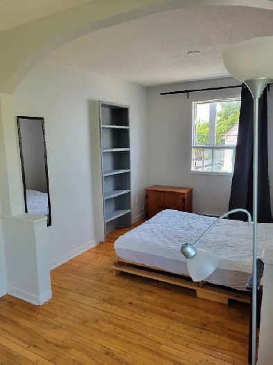 Grande chambre centre-ville Hull/ downtown Hull Image# 1