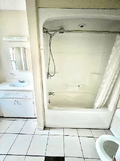 Room Rental (Downtown Apartment) Pet Friendly - Open Immediately Image# 2