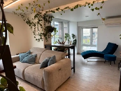2 Beds 1 Bath - 4 1/2 Apartment Image# 8