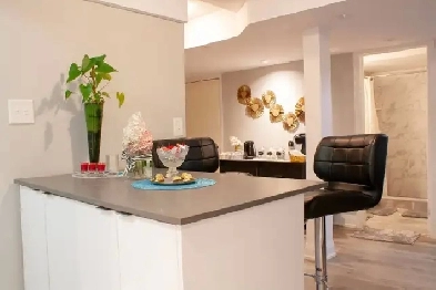 2 Bedroom Furnished Basement Apartment for Rent in North Oshawa Image# 1