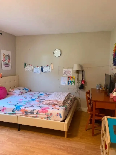 Fully furnished 1 room for rent in London ontario Image# 3