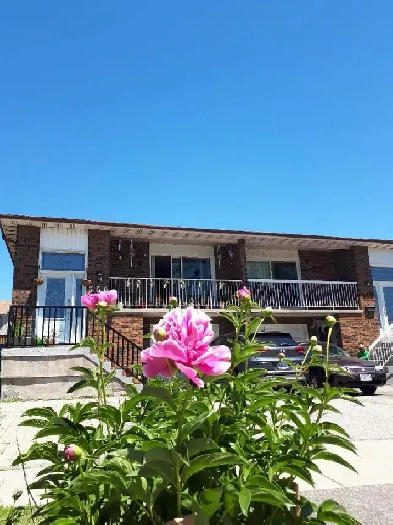 1 bedroom house for rent Image# 1