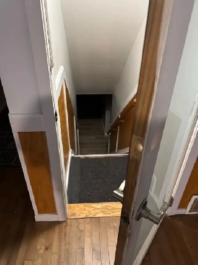 Basement apartment available in Strathcona Image# 3
