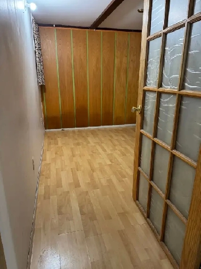 Yonge & Steeles Single Basement Room Image# 2