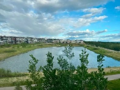 Brand-New 2 Bedroom Legal Basement Suite for Rent – Vermilion Image# 4