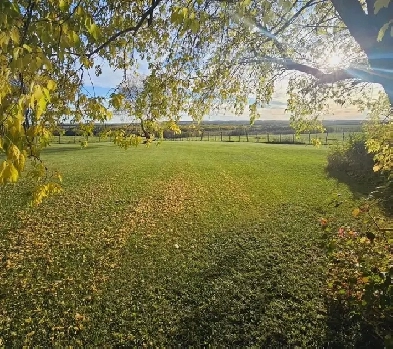 Acreage For Sale Image# 9