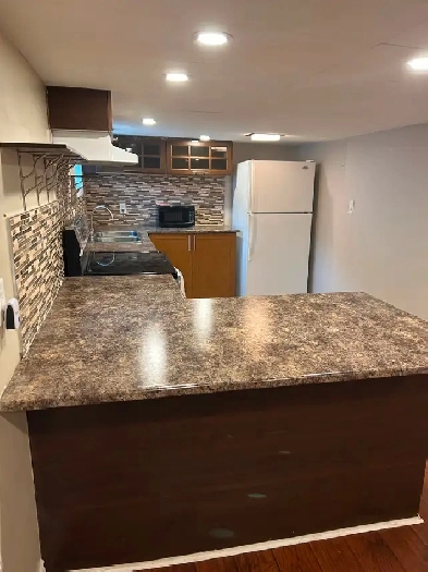 Orleans Immediate availability 1 bed and den 1 bath basement Apt Image# 1