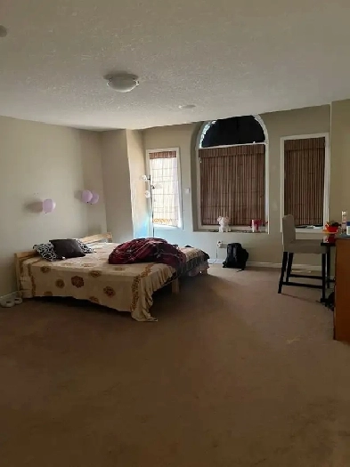 1 room available at SASSAFRAS STREET Image# 9