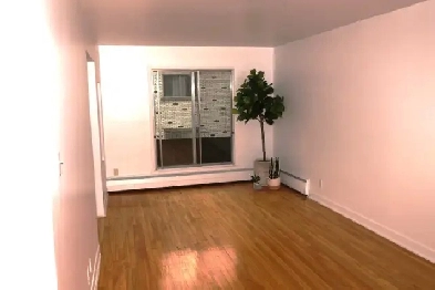 3 1/2 Anjou Image# 1