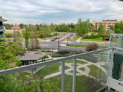 Excellent one bed room apartment suite across U of C Image# 1