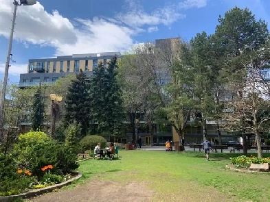 Luxury 3.5 in the Village Image# 1