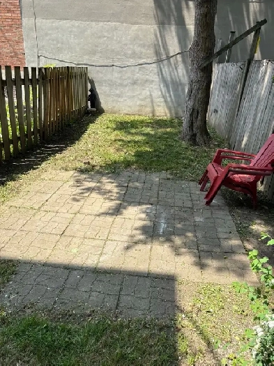 Beau grand 31/2 sur 2 nivaux Image# 1