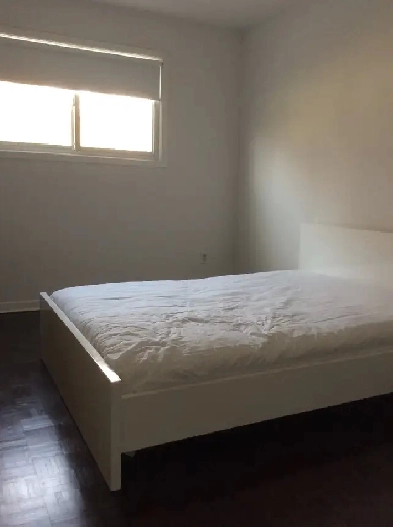 Room for rent near Finch/hwy404 Image# 1