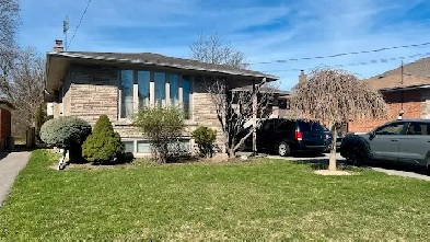 1 BR - Bathurst Manor Basement Apt. Available Image# 2