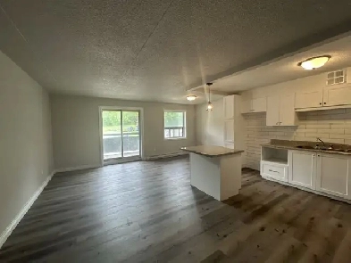 Simcoe  2 Bedroom Apartment for Rent Image# 1