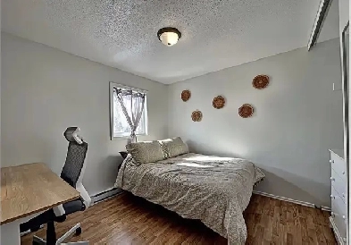 Maison de ville (colocation) Image# 1