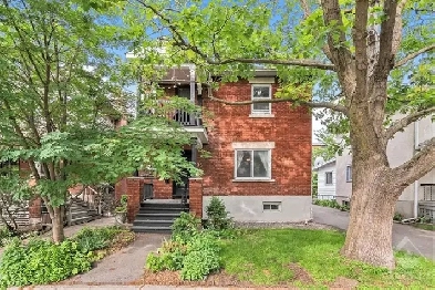 1 Bed Basement Apt in Wellington West! Steps to the Otrain! Image# 5