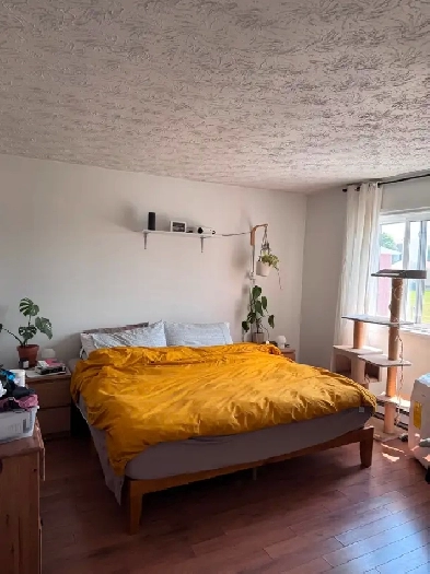 Appartement à lour cessation de bail août 2025-juillet2026 Image# 1