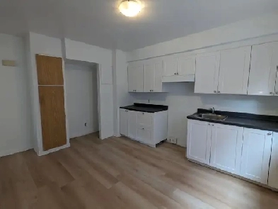 BEAU GRAND 4½ RÉNOVÉ À LOUER DANS ROSEMONT -LIBRE OU 1ER AOÛT Image# 1