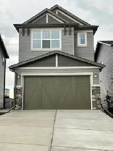 Brand New 1 Bed   1 Bath Legal walk out Basement Suite Image# 7