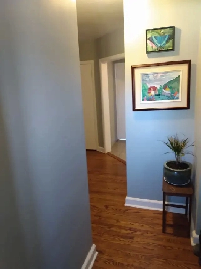 Room for rent near Algonquin College Image# 4