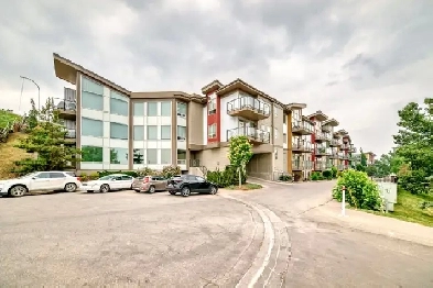 1 Bedroom   Den in Pet Friendly Unit Image# 2