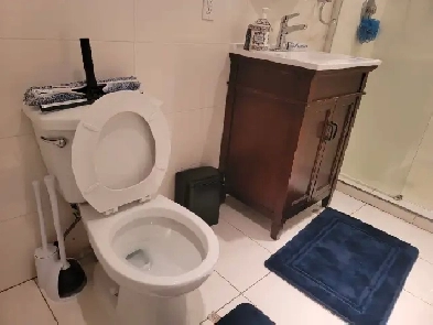 Beautifully renovated 3 1/2 in a duplex Image# 2
