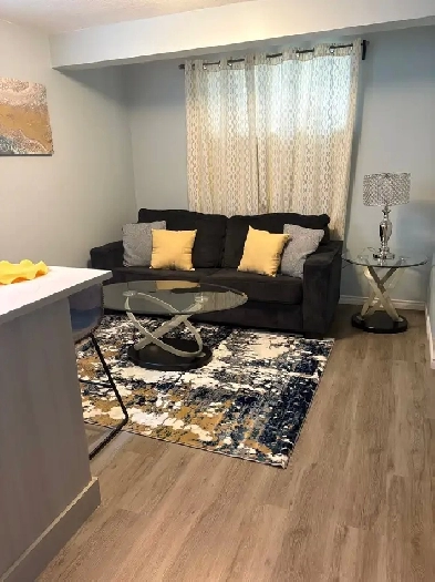 Fully Furnished Basement With Separate Entrance Image# 6