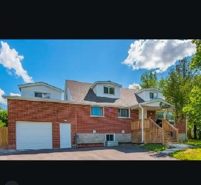 2 Beds 1 Bath New Basement Apartment  for Rent $2050 Image# 1