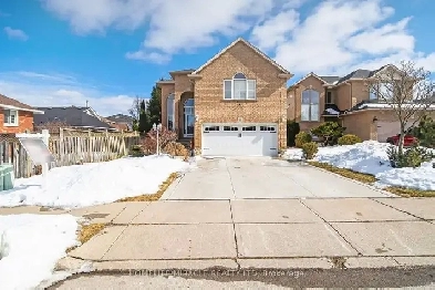 Stunning 3 2 Bedroom Detached With Fin Bsm & Sep Ent In Hamilton Image# 1