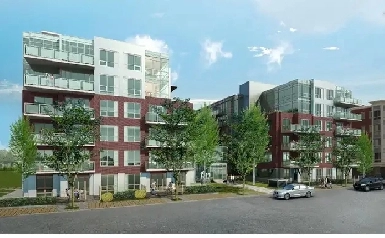 Executive 1 Bdrm For Rent in Sobow Inglewood Image# 8