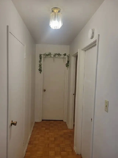Room for Rent Image# 4
