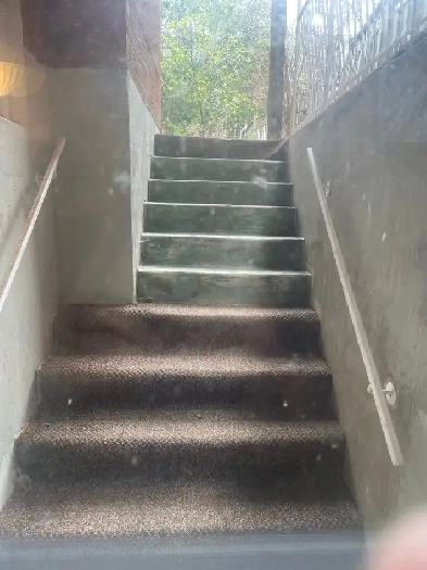 prime location Mississauga —Basement 1bedroom   Family room Image# 2