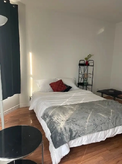 Large  Fiurnished Baɛhelor apt for rent. (Unfurnished  avail) Image# 17