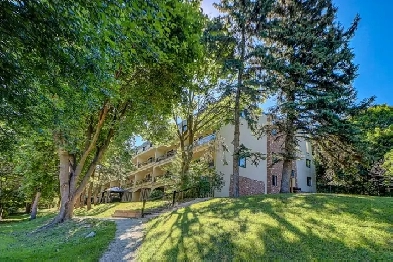 Great Room In Condo Townhouse Don Mills/ Finch Image# 6