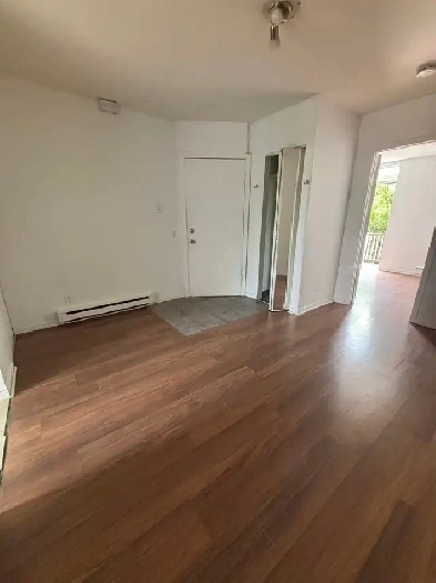 appartement 3 1/2 rosemont petite patrie Image# 8