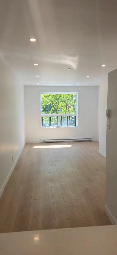 Studio Parc Ave NEW RENO Image# 16