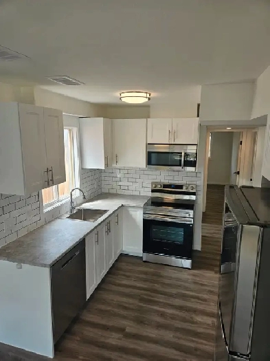 2 Bedroom Suite for Rent Image# 11