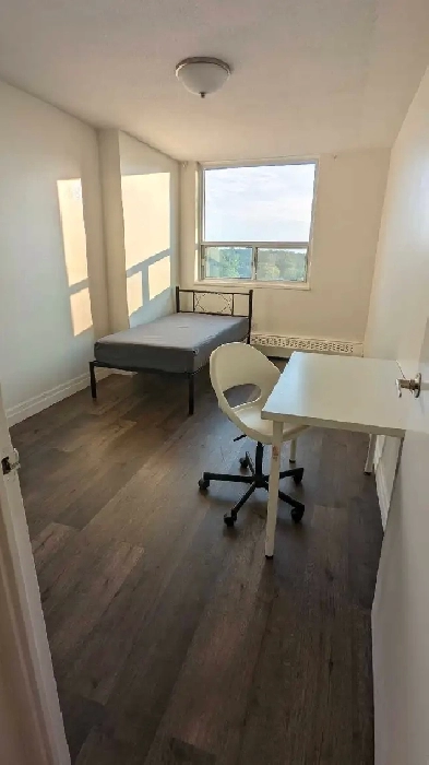 Gujarati Apartment Rental Accomodation. Scarborough. Image# 7