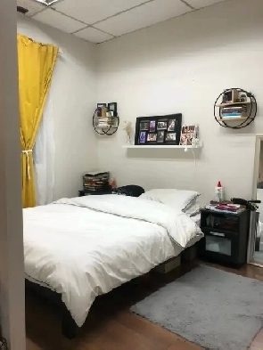 Dufferin St Clair Studio Apartment Image# 4
