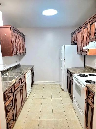 Lg 2Bed 12f High Seiling NewlyReno, UTILITIES INCLUDED Image# 4