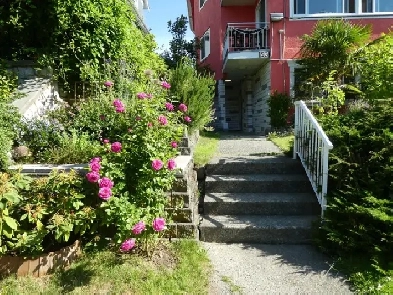 2 Bed 1 Bath Apartment for Rent Image# 1
