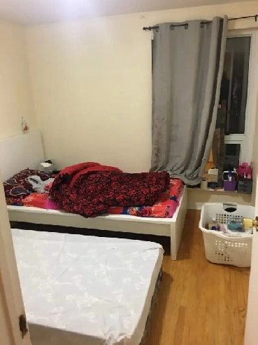 Room For Rent to Girl Students near Humber College Image# 1