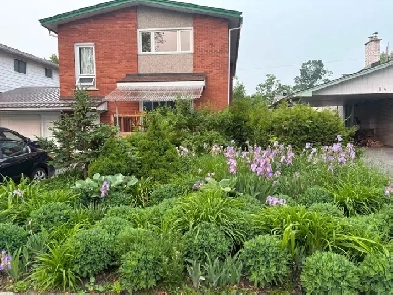 Spacious, Clean, Bright, Renovated Two-Bedroom Apartment Image# 1