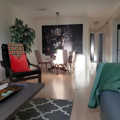 1 or 2 Bedroom Furnished Apartments Image# 8