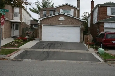 One Bedroom Basement Apartment near Sheridan College Image# 1