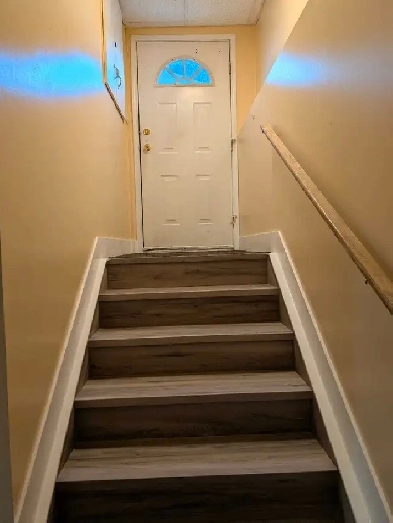 2 bedroom basement suite for rent in millwoods Image# 1