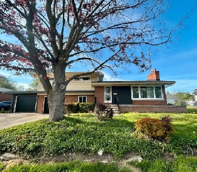 FULLY DETACHED HOME 3 Bedroom in North Welland! Image# 1