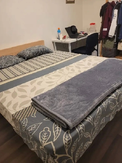 Cheap Basement Room near UofA for 2 months Sublease Image# 2