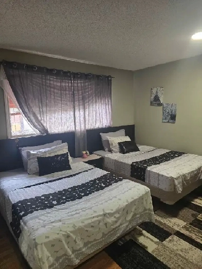 3 bedrooms 2 bath main floor rent (Templeson Road Ne) Calgary Image# 9